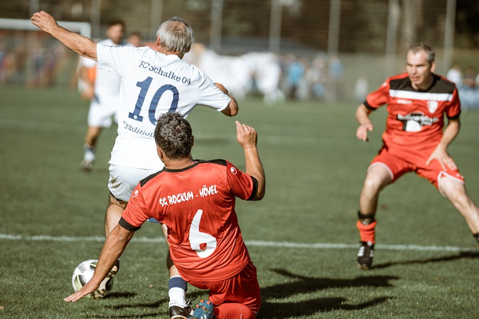 Curated selection of modern fashion accessories including scarves and belts